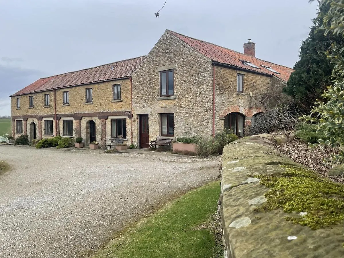 Phlomis Villa York 0*,