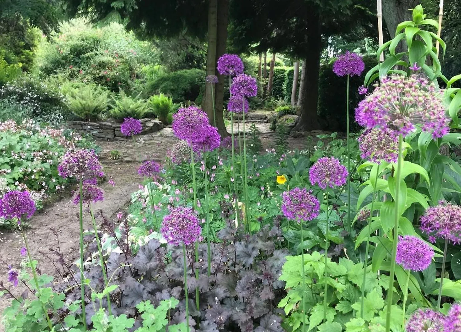 Nyaraló Phlomis Villa York